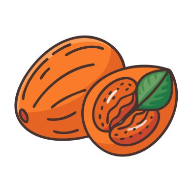 Basit çizgi film stili keskin turuncu betel vektör çizimi düz simge