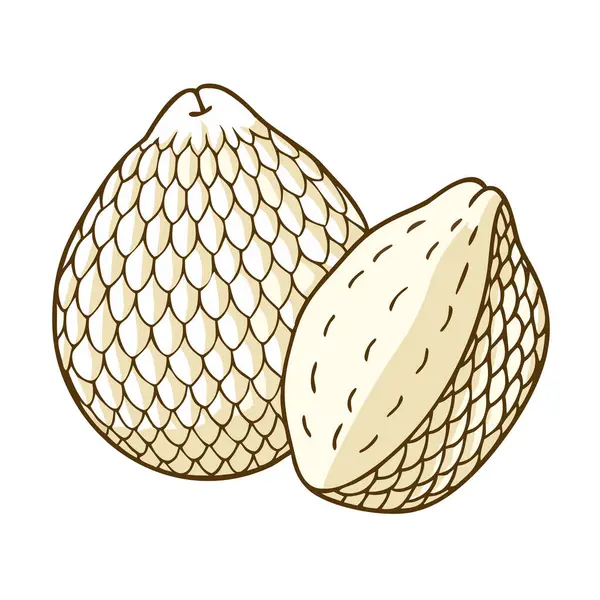 Basit çizgi film stili parlak beyaz yılan balığı vektör resimleme düz simgesi