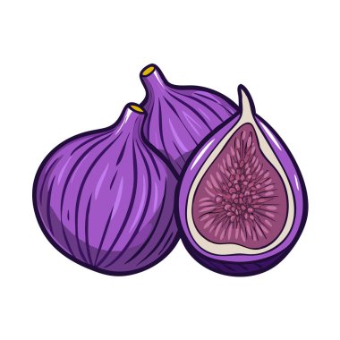 Basit çizgi film tarzı tatlı mor incir vektör çizimi düz simge