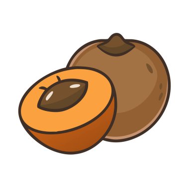 Basit çizgi film tarzı tatlı kahverengi sapote vektör illüstrasyon düz simge