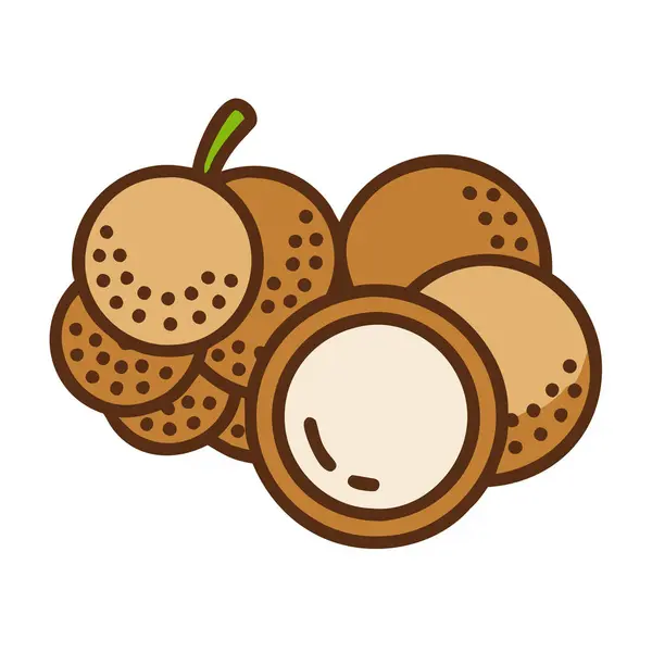 Basit çizgi film tarzı tatlı kahverengi Longan vektör çizimi düz simge