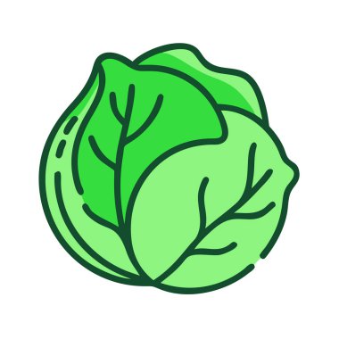 Basit bir düzlem vektörü, bir lahananın temiz ve minimal stil düz simge çiziminde zirvesine çıkıyor..