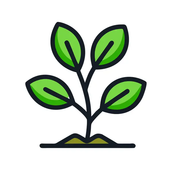 Basit bir düzlem vektörü, bir bitkinin temiz ve minimal stil düz ikon resimlemesinde yer alır..