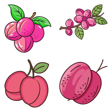 Markalaşma, menüler ve reklamlarda profesyonel ve yaratıcı kullanım için ideal olan yüksek kaliteli, çok yönlü gıda meyve paketi kavramı.