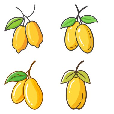 Markalaşma, menüler ve reklamlarda profesyonel ve yaratıcı kullanım için ideal olan yüksek kaliteli, çok yönlü gıda meyve paketi kavramı.