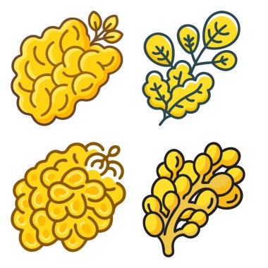 Markalaşma, menüler ve reklamlarda profesyonel ve yaratıcı kullanım için ideal olan yüksek kaliteli, çok yönlü gıda meyve paketi kavramı.