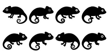 Chameleon Silhouette Bundle for Wildlife and Reptile Design clipart