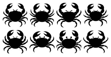 Bir grup siyah örümcek silueti. Cadılar Bayramı vektör illüstrasyonu