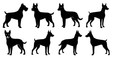 Vahşi Yaşam ve Hayvan Tasarımı İçin Köpek Silueti Paketi