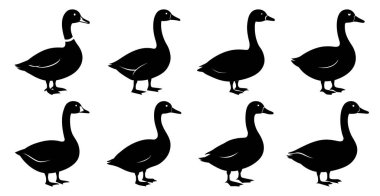 Vahşi Yaşam ve Kuş Tasarımı İçin Ördek Silueti Paketi