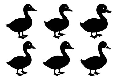 Vahşi Yaşam ve Kuş Tasarımı İçin Ördek Yuvası