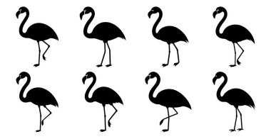 Vahşi Yaşam ve Kuş Tasarımı İçin Flamingo Siluet Paketi