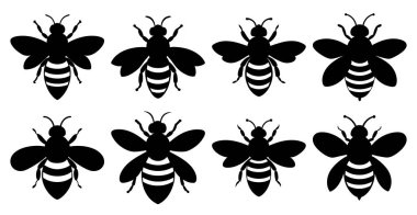 Böcek ve Vahşi Yaşam Tasarımları için Bal Arısı Silueti Paketi