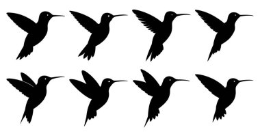 Hummingbird Silhouette Bundle for Bird and Wildlife Designs clipart