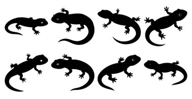 Sürüngen ve Vahşi Yaşam Tasarımları için Semender Silueti Paketi