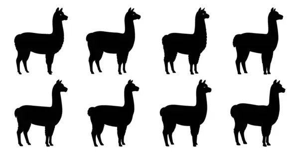 Vahşi Yaşam ve Çiftlik Hayvanları Tasarımı İçin Alpaca Siluet Paketi