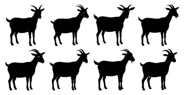 Çiftlik ve Vahşi Yaşam İçin Keçi Silueti Tasarımları