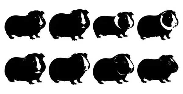 Hayvan ve Vahşi Yaşam Tasarımları için Gine Domuz Silueti Paketi