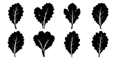 Kale Yaprak Siluetleri Koleksiyonu, Vegan için Vektör Grafikleri, Sağlıklı Yeme ve Masa Tasarımları