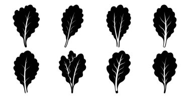 Marul yaprağı silueti koleksiyonu. Sağlıklı beslenme, vegan, vejetaryen ve salata kavramları için mükemmel..