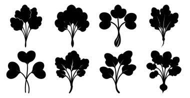 Maydanoz Siluetleri Koleksiyonu, Mutfak, Sağlık ve Tasarım Projeleri için Çok Yönlü Vektör Simgeleri