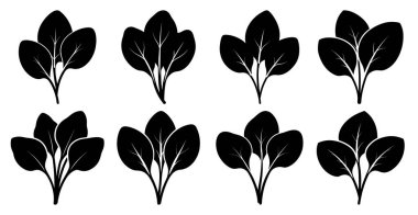 Ispanak yaprağı silueti koleksiyonu. Sağlıklı gıda markaları, menüler ve tarifler için mükemmel..