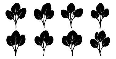 Ispanak yaprağı siluetleri. Sağlıklı gıda markaları, menüler ve tarifler için mükemmel..