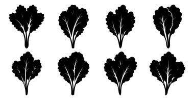 Marul yaprağı silueti koleksiyonu. Logolar, menüler ve sağlıklı gıda markaları için mükemmel..