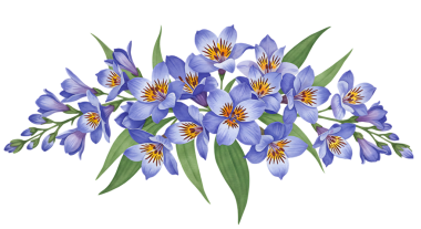 A vibrant bouquet of blue iris flowers with green leaves arranged against a transparent background, showcasing natural beauty and floral elegance perfect for botanical and floral design projects.