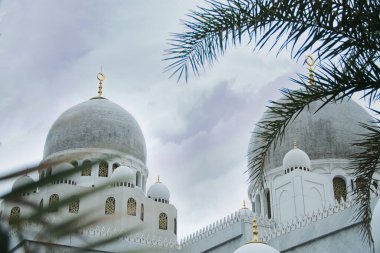 Sheikh Zayed Büyük Cami Kubbesi 'nin manzarası. Palmiye yapraklarıyla çerçevelenmiş, bulutlu bir gökyüzünün altında zarif bir İslami mimari ve sakin bir ortam sergiliyor.