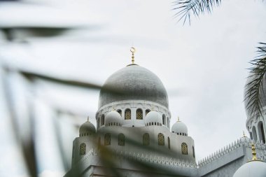 Sheikh Zayed Büyük Cami Kubbesi 'nin manzarası. Palmiye yapraklarıyla çerçevelenmiş, bulutlu bir gökyüzünün altında zarif bir İslami mimari ve sakin bir ortam sergiliyor.