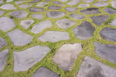 Yeşil otlarla kaplı taş kaldırımlar doğal ve organik bir yol dizaynı oluşturuyor.