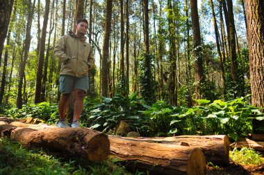 Açık havada giyinmiş bir insan, sık, güneşli bir ormanda ağaçlar ve yeşillik, somut macera, keşif ve doğa ile bir bağlantı ile birlikte bir kütükte yürürken dikkatle dengede durur.