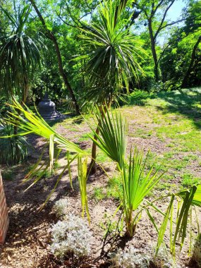 Parkın güzel manzarası