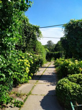 Parkın güzel manzarası