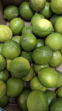 Pazarda taze avokado.