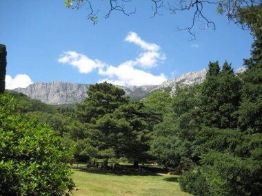 Alupka, Crimean peninsula, Ukrane - July 11, 2008: View of the top of Ai-Petri clipart