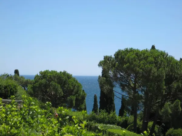 Kırım Denizi manzarası