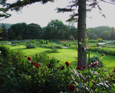 Kırım, Vorontsovsky Parkı, yeşil park. Yüksek kalite fotoğraf