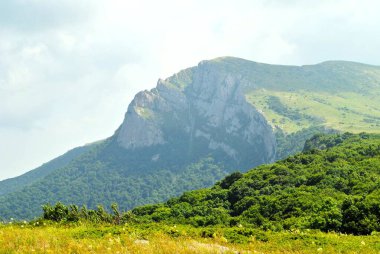 Yeşil tepeleri ve açık mavi gökyüzünü barındıran güzel dağ manzarası. Sahne sakinliği ve doğa ile bağlantıyı çağrıştırıyor, açık hava aktiviteleri ve rahatlama için ideal. Kırım, Ukrayna. Yüksek kalite fotoğraf