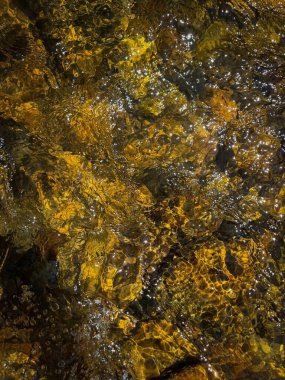 Kristal berrak su ve kayalık tabanlı akarsu