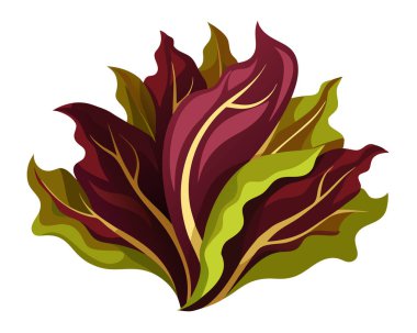 Dulse vector illustration isolated on white background clipart