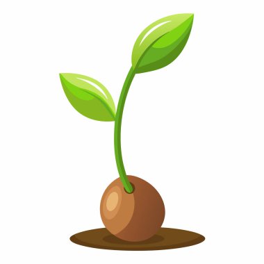 Sprouting seed, gardening  cartoon style vector illustration clipart