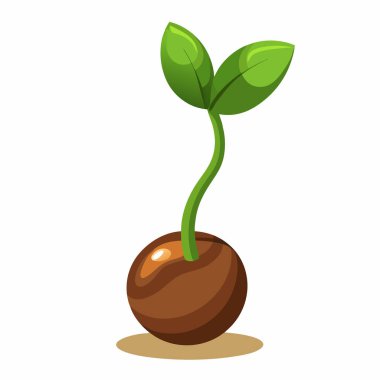 Sprouting seed, gardening  cartoon style vector illustration clipart