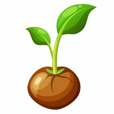 Sprouting seed, gardening  cartoon style vector illustration clipart