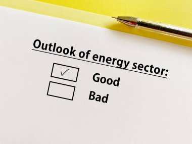 Bir kişi endüstri ile ilgili soruya cevap veriyor. Enerji sektörünün görünümünün iyi olduğunu düşünüyor..