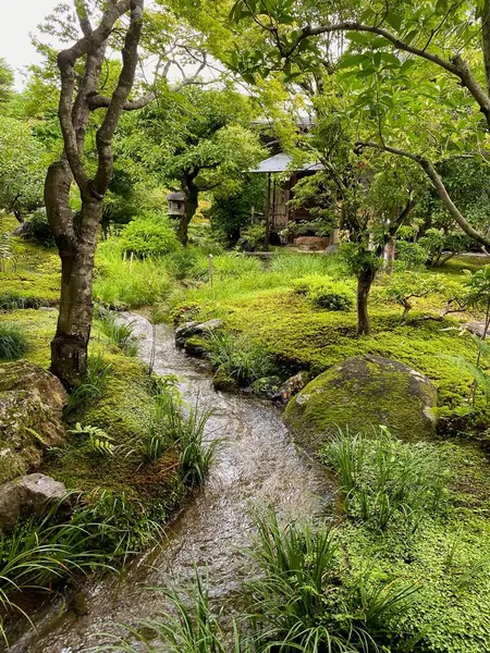 Kyoto 'da sessiz bir bahçe.