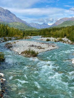 Güneşsiz bir günde Alaska akıntısı. Yüksek kalite fotoğraf