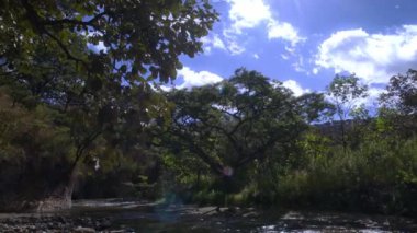 Uçurumun yanındaki ormanın içinden bir nehir akıyor.