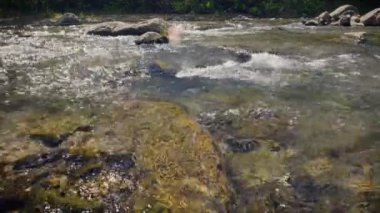 Kayaların arasından akan temiz nehir suyu